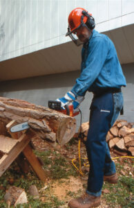 Electric Chain Saws Image